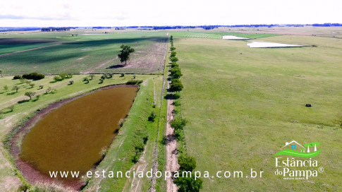 TREM TOP SORGO.00_01_04_05.Quadro024_71fc9afb3ae8893d5e01f04788b2658c8cf3a7c2.png